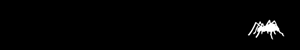 social spider